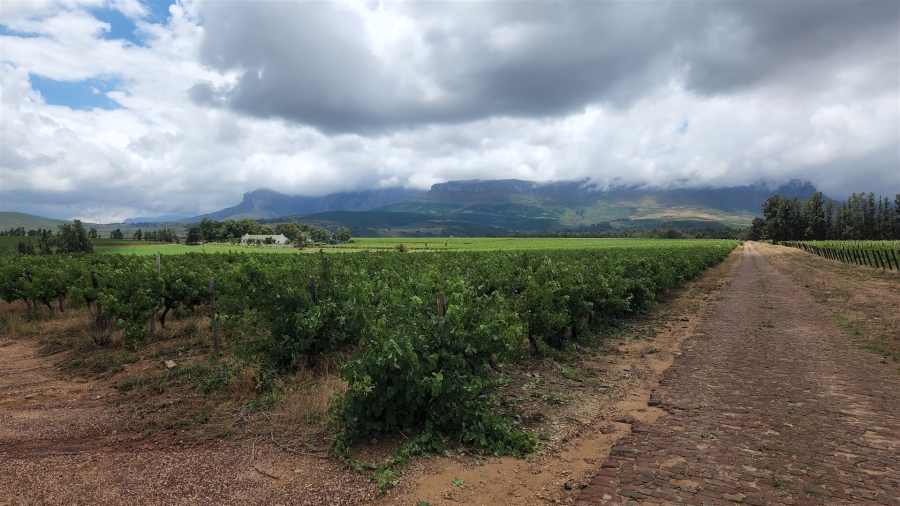 Commercial Property for Sale in Paarl Rural Western Cape